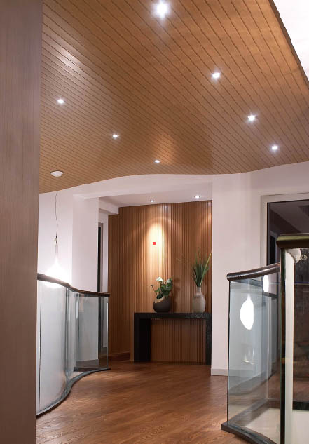 Ceiling