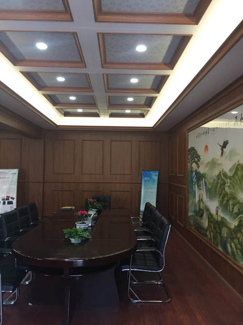 Ceiling